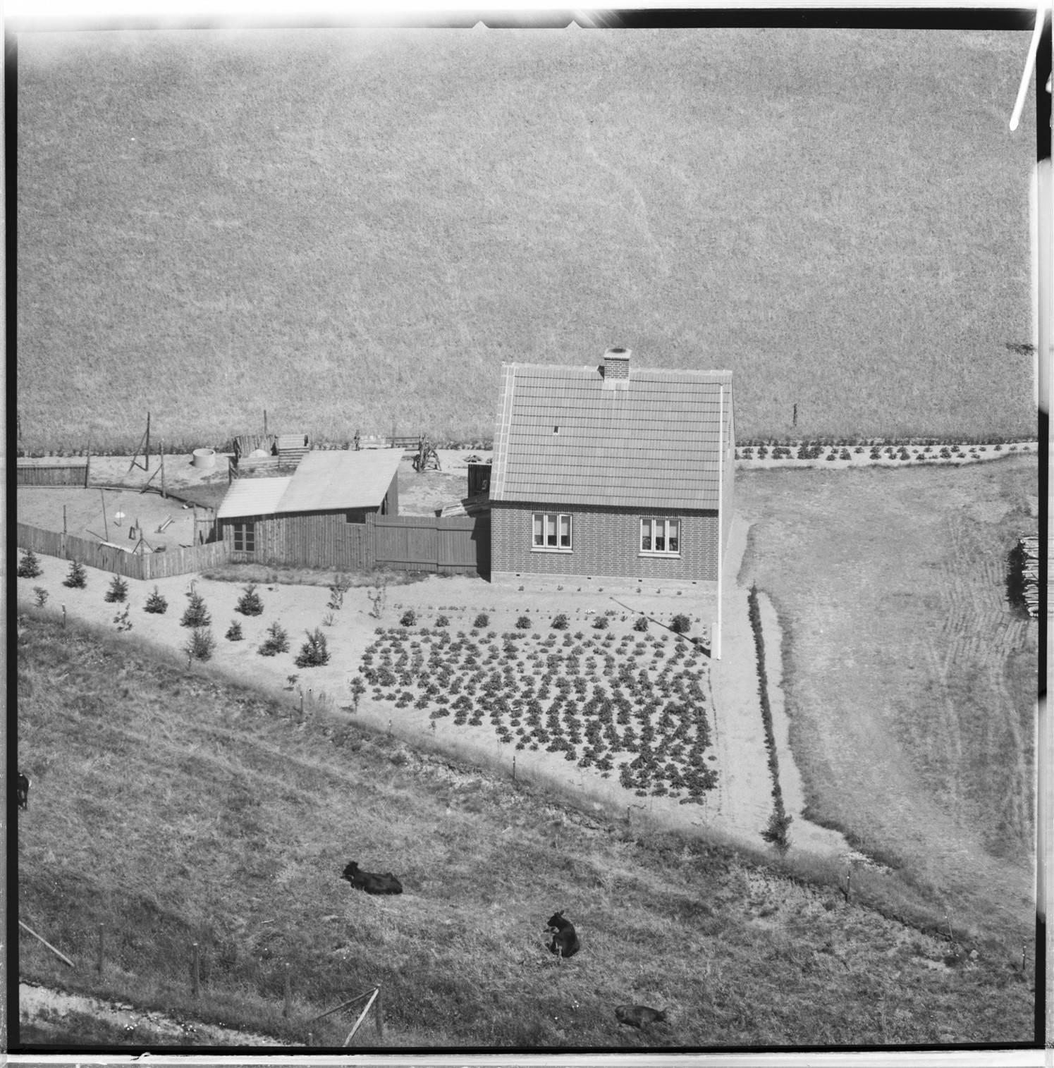 Svend Østergaard Nielsen og Kirsten Eline Nielsen's hus på Krøgebækvej 23 i Hovborg.